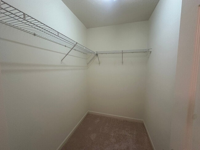Building Photo - 2544 Halle Ann Cir
