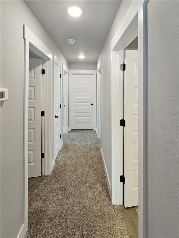 Building Photo - 2091 Bluebonnet Ln