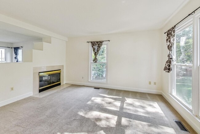 Building Photo - Cool on Cool Spring! Large SF 4 Bed + 2.5 BA