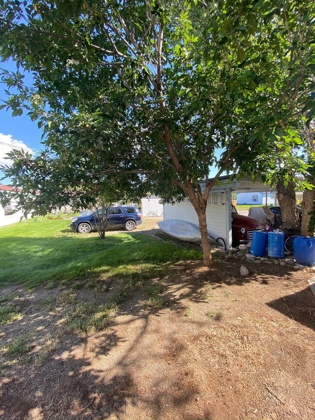 Building Photo - City of Gunnison Spacious 2 bedroom/2.5 bath!