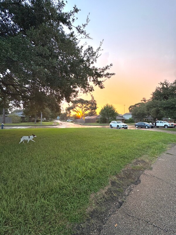 Building Photo - 4017 Osby Dr