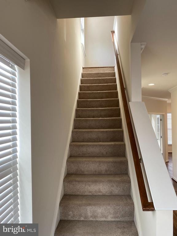Building Photo - 104 Brasstown Loop