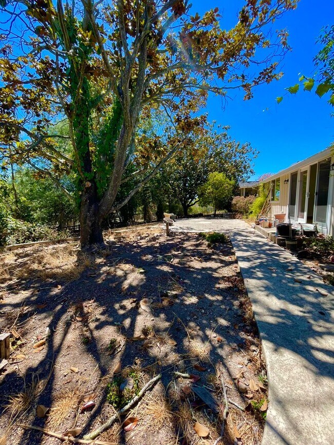 Building Photo - $3,900/month – Rare Country Feel on an Expansive Lot in One of Santa Rosa's Desirable Neighborhoods!