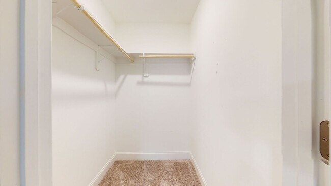 Building Photo - 507 W Red Head Cir