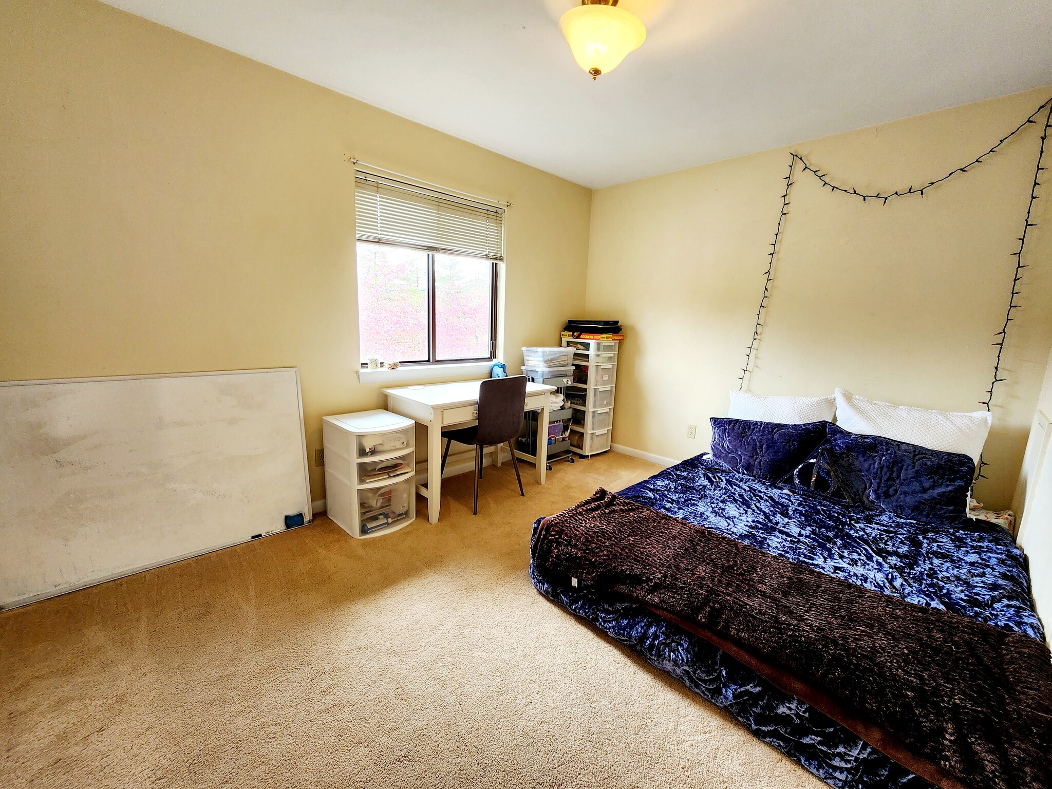 Main Bedroom - 503 Sunridge Dr