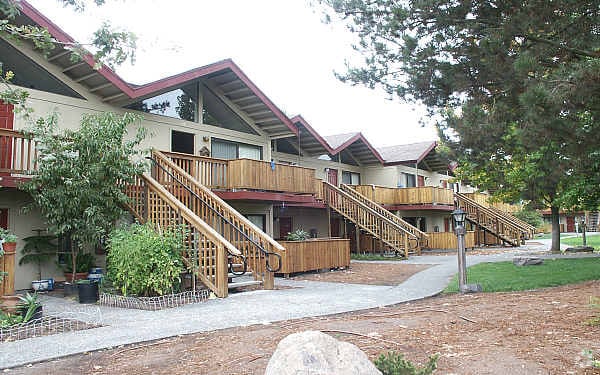 Pinewild Apartments - Pine Wild Apartments