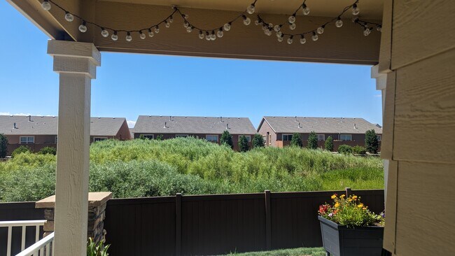 View from front patio - 5644 Shamrock Hts