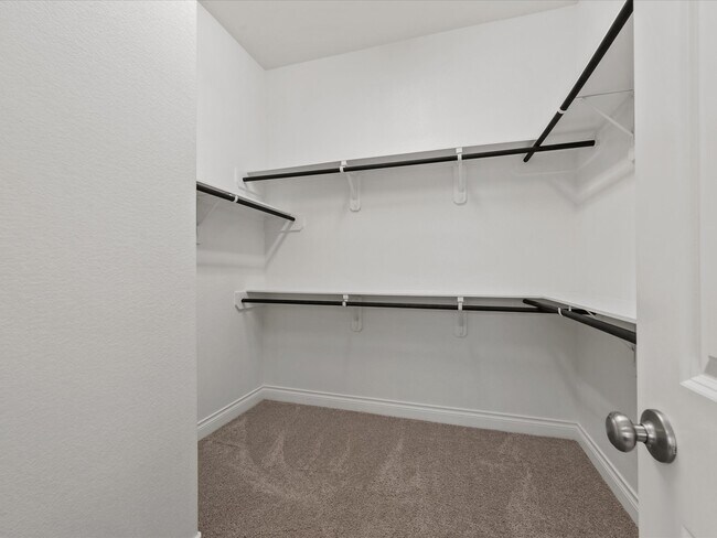 Building Photo - 2503 Elmwood Trl