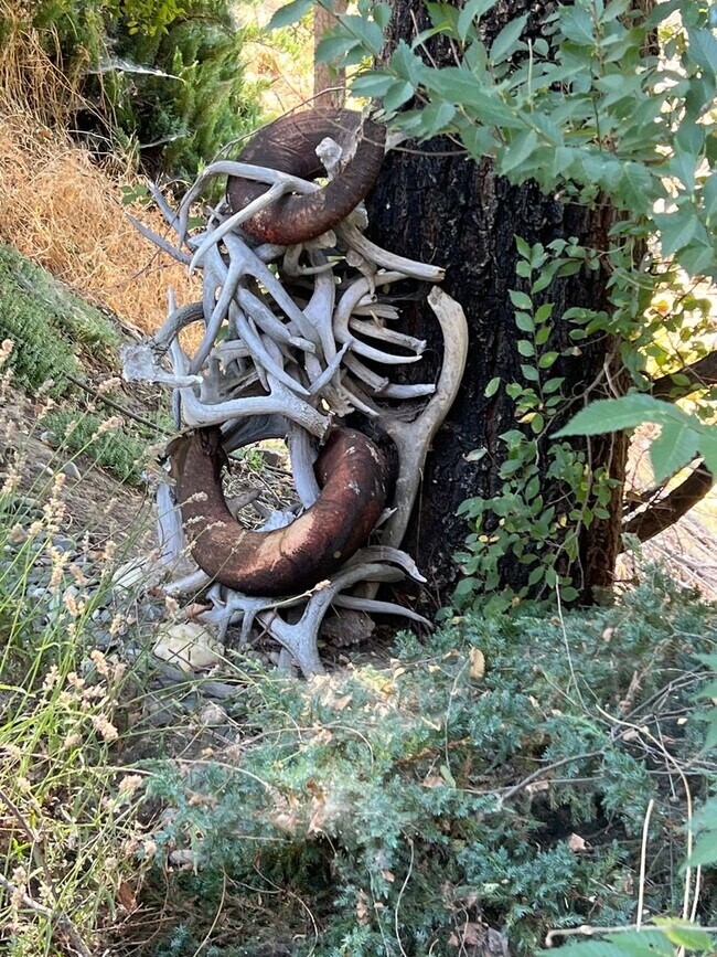 Building Photo - Custom Built Home on the Clearwater River - 20 minutes from Lewiston, ID