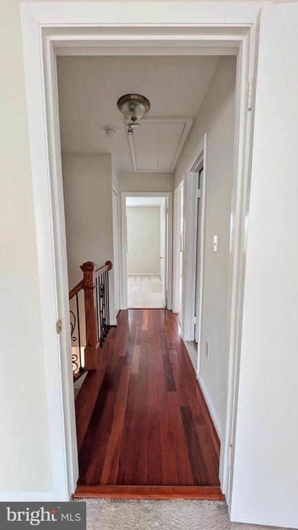 Building Photo - 33 Badger Gate Ct