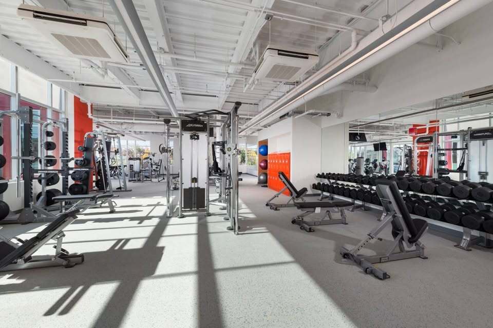 Full gym - no need for an expensive gym membership! - 315 Evarts St NE