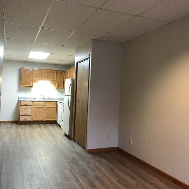 309 Plum St 309 Plum St Red Wing MN 55066 Apartment Finder