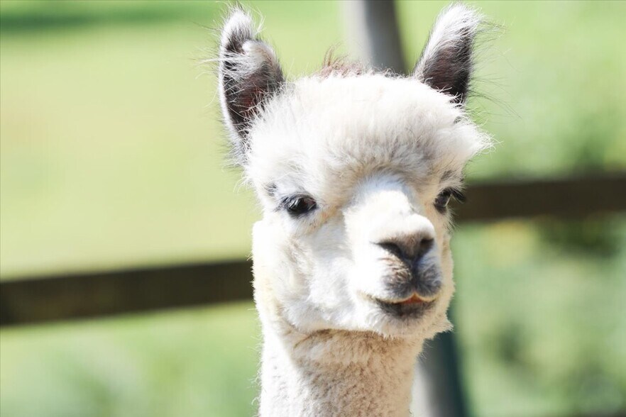 Building Photo - 155 Squash Hollow Rd