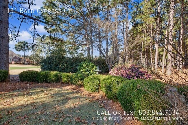 Building Photo - 131 Bald Cypress Ct
