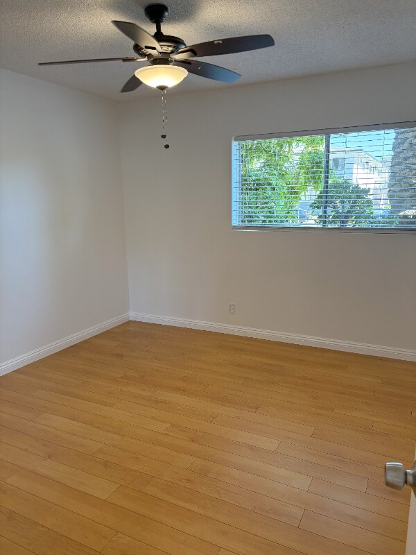 Building Photo - 437 Palm Dr