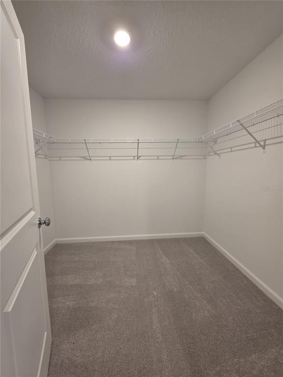 Building Photo - 3496 Chinotto Dr