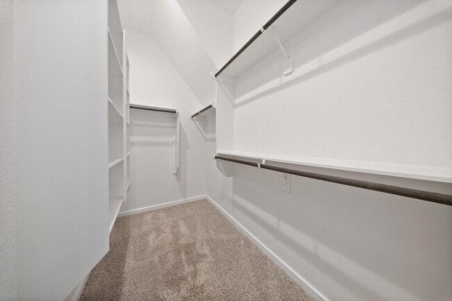 Building Photo - 1615 Rustling Creek Dr