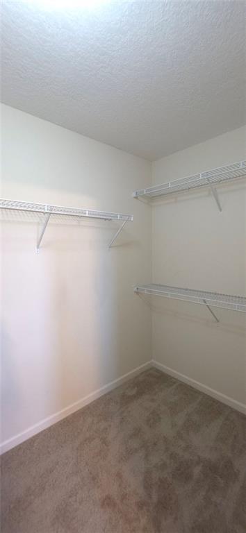 Building Photo - 2125 Savannah Dr