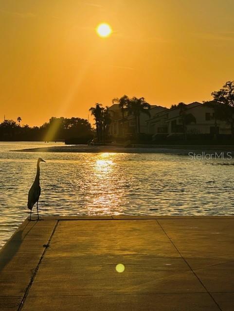 Building Photo - 5200 Brittany Dr S