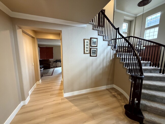 Building Photo - 10 Rhine Cir