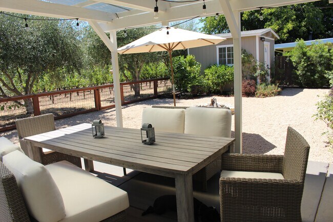 backyard - 1077 Valley View St