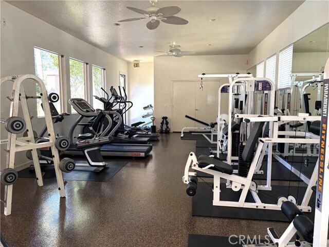 Building Photo - 309 Falcon Creek