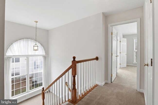 Building Photo - 6137 Manchester Park Cir