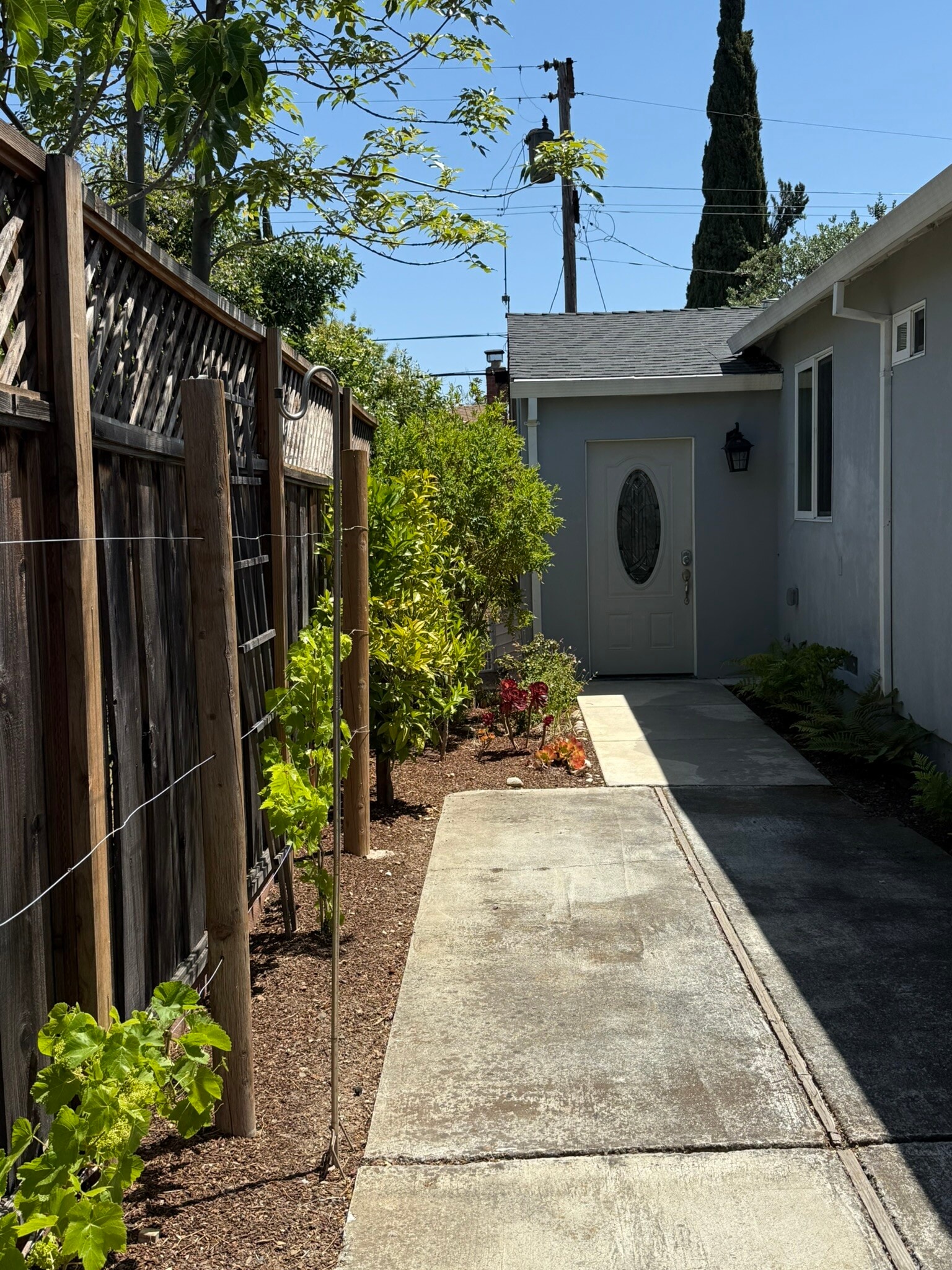 Walkway garden to the Unit - 1368 Lillian Ave