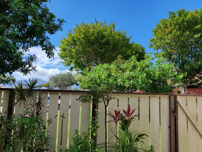 Looking out from patio - 94-190 Anania Dr