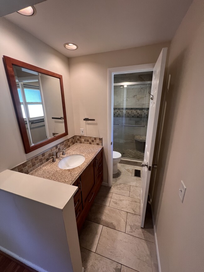 Full bathroom with walk-in shower attached to the primary bedroom. - 1298 Cedarcliff Dr