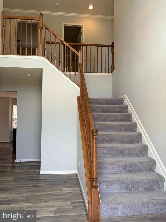 Building Photo - 506 Summervale Ct