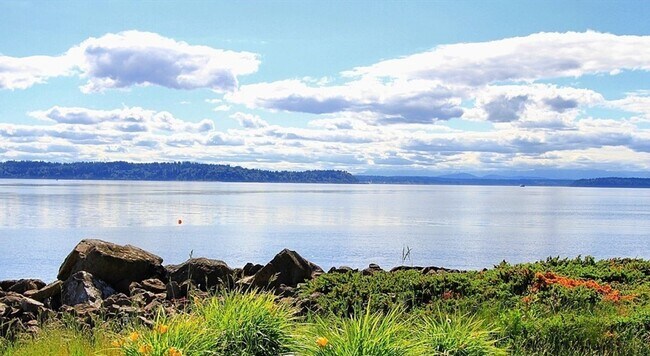 Building Photo - West Seattle Waterfront Condominium ~ West...