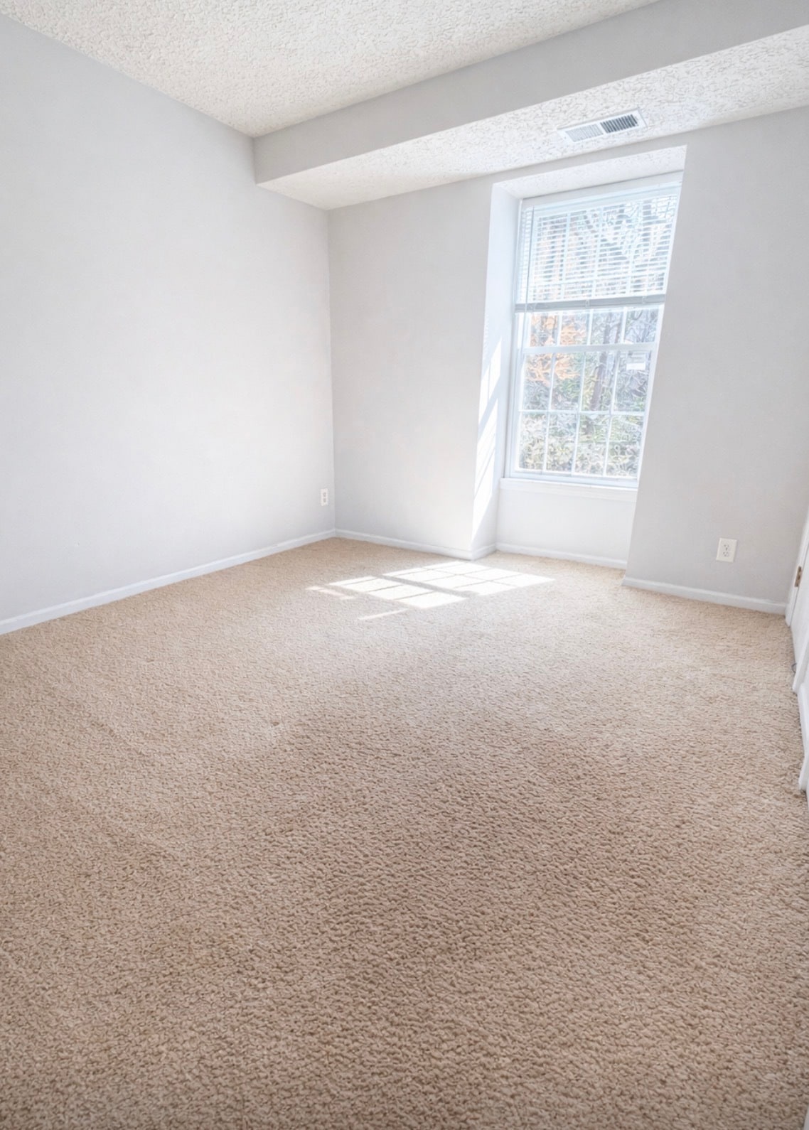 Actual 2nd room with out virtual staging - 32 Sequoia Ct