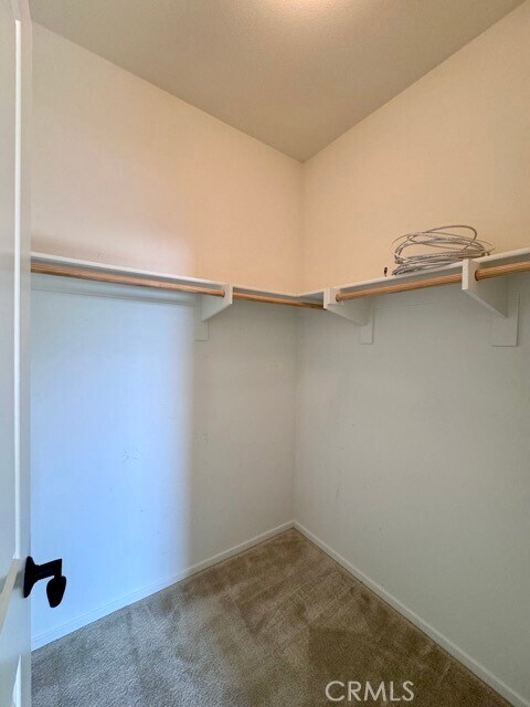 Building Photo - 34913 Limecrest Pl