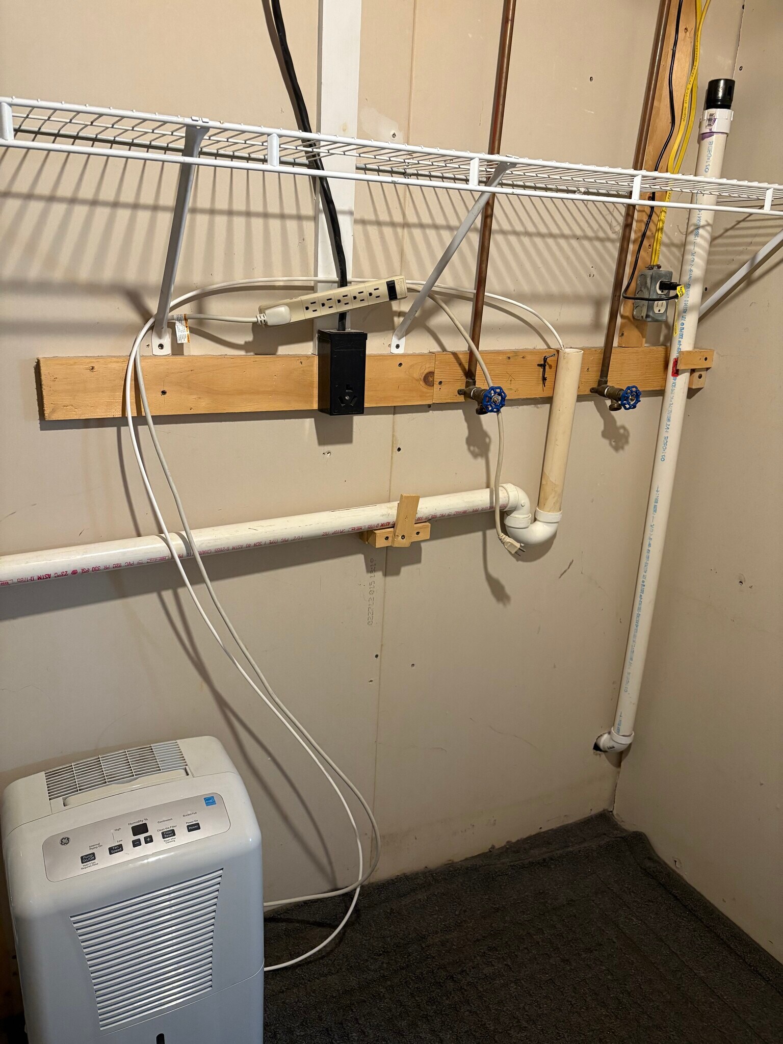 Building Photo - 209 Carsley Rd