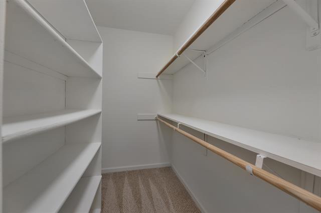 Building Photo - 2821 Capella Cir