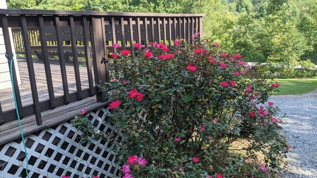 Building Photo - Great 3 Bedroom 2 Bath Home in quiet resid...