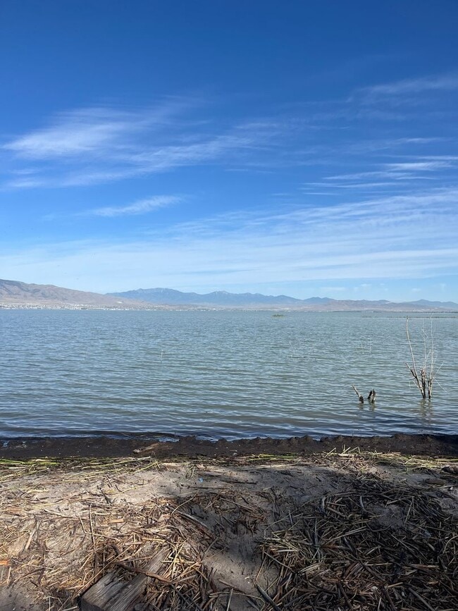 Building Photo - 3 Bedroom/2 Bathroom condo in Vineyard