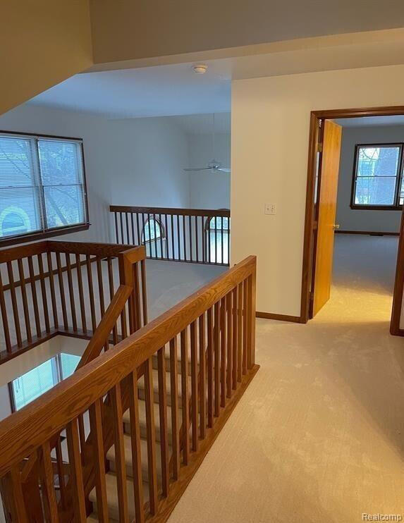 Building Photo - 2445 Mulberry Ct