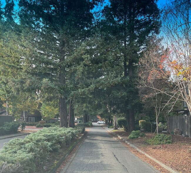 Building Photo - Redwood Park Estates Condo.  Available NOW!