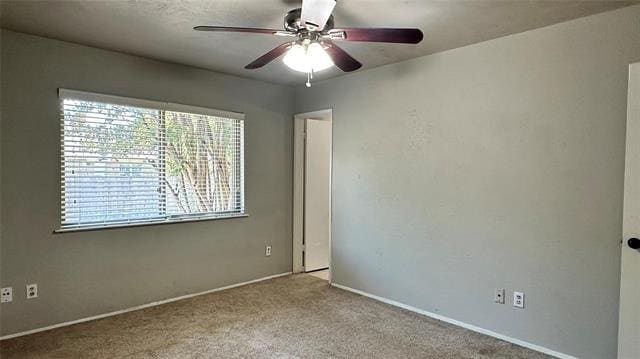 Building Photo - 534 Windsor Dr