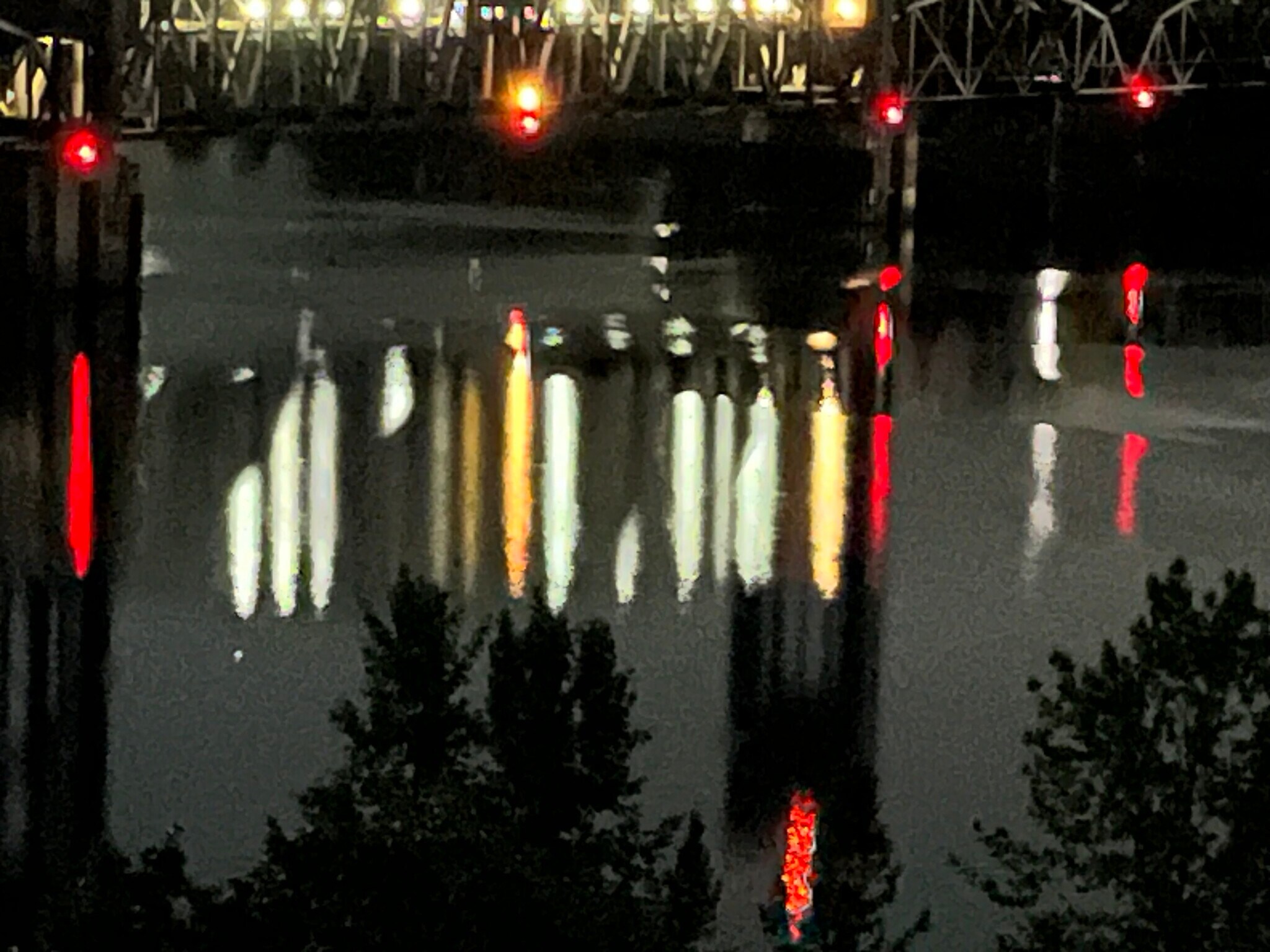 Bridge lights at night - 7511 N Edgewater Ave