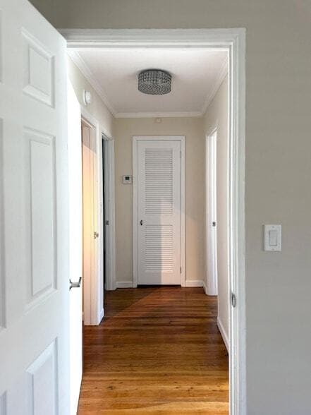 Building Photo - 1527 Mayo St