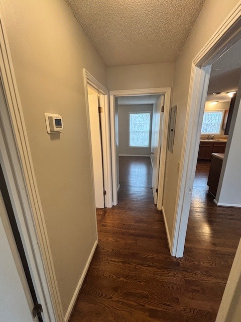 Hallway - 7242 Old Harding Pike