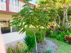 Building Photo - 39 Sussex B