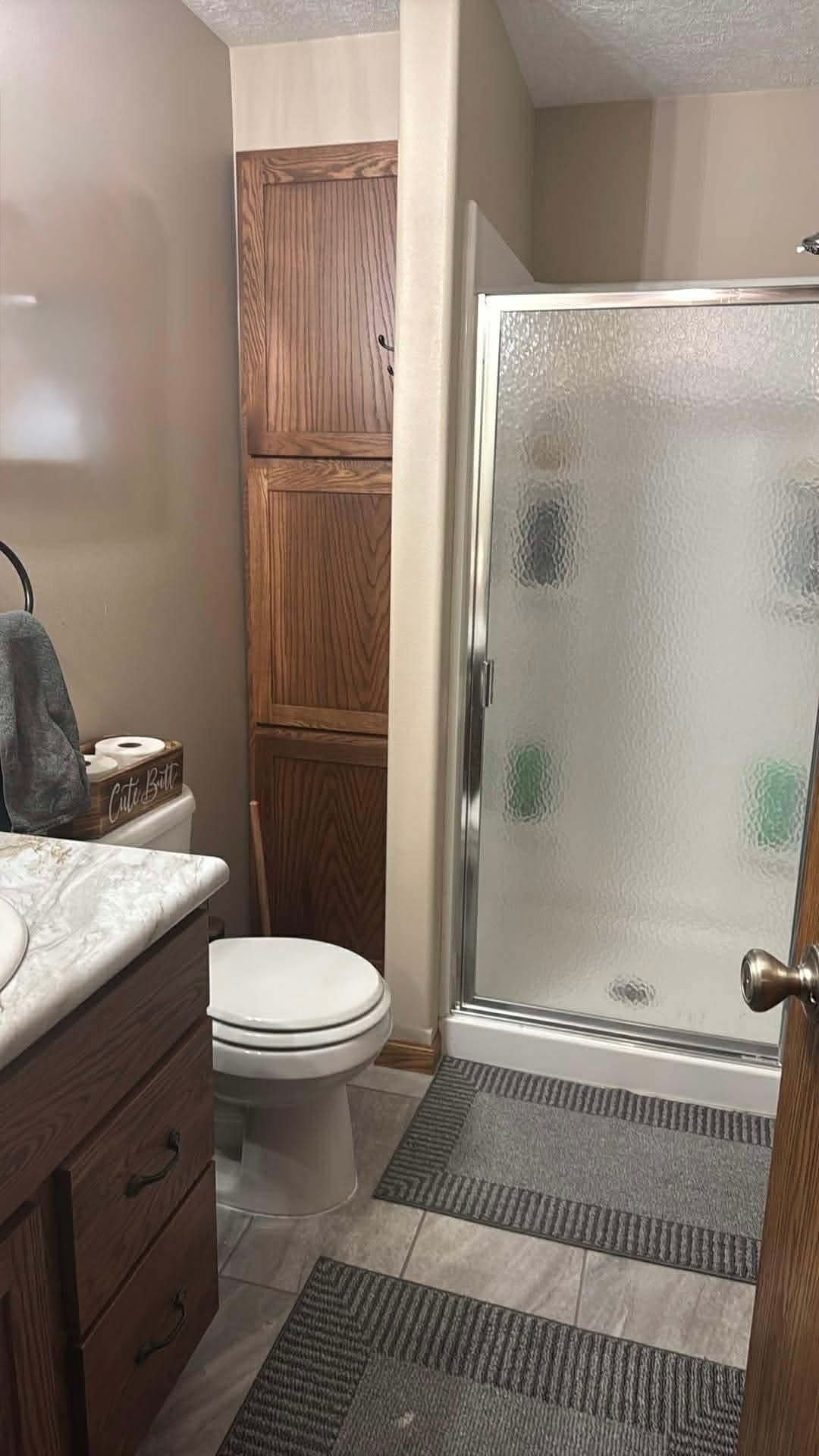 Lower Level Bath - 4727 W Antelope Dr