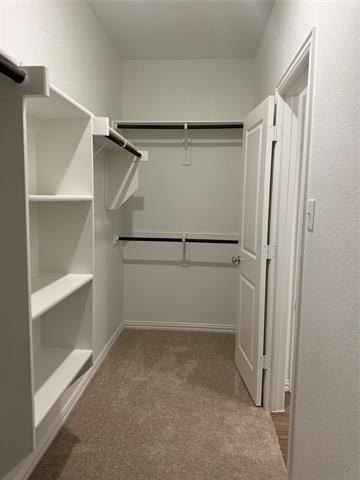 Building Photo - 143 Jenkinson Dr