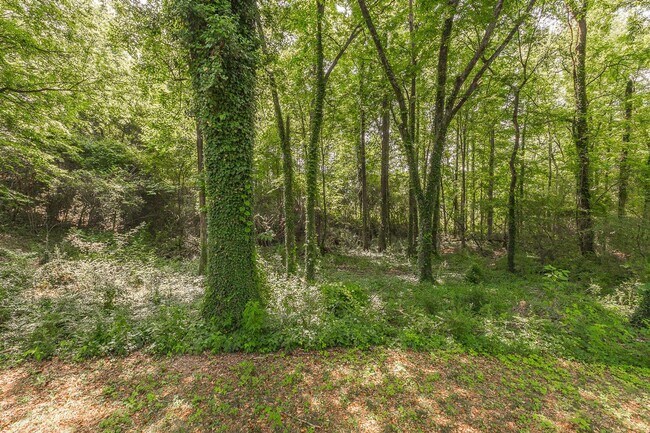 Building Photo - 3 bedroom updated home in a quiet, peaceful setting!