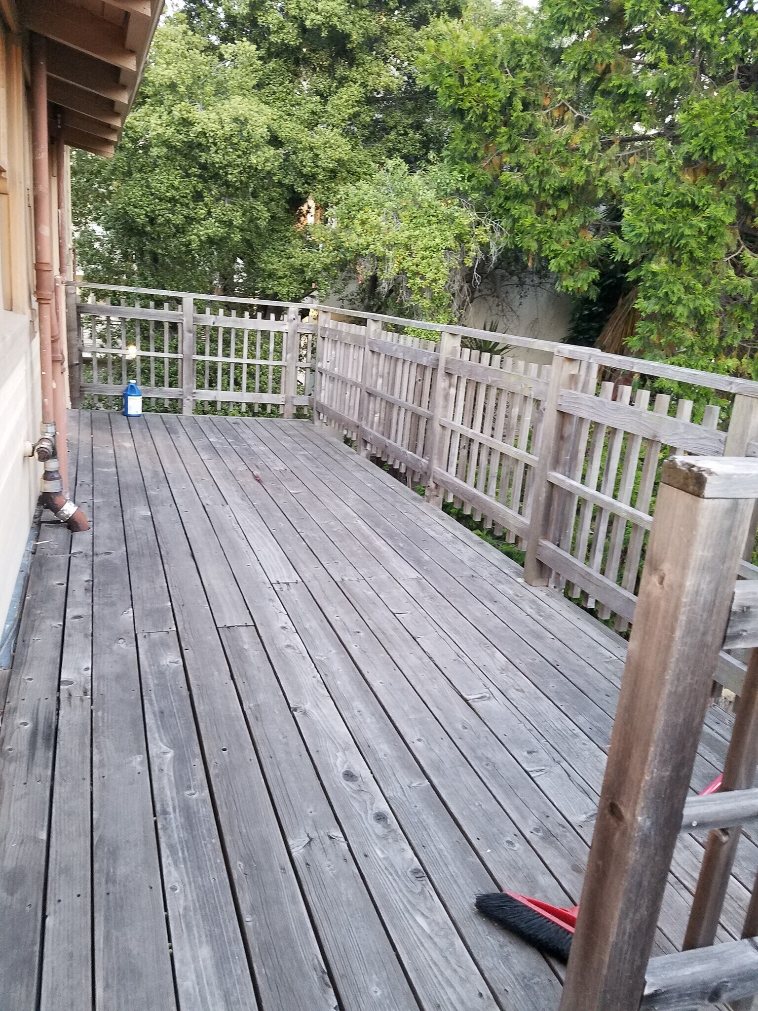 Building Photo - 1924 Channing Way