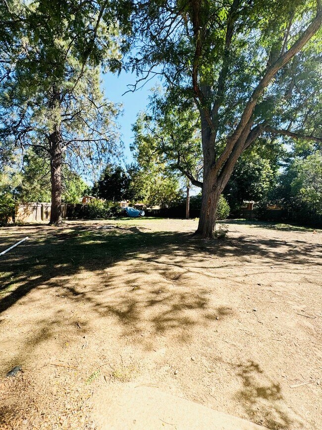 Building Photo - Spacious 4 bedroom 2 bath Ranch Style House In Fort Collins